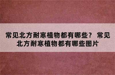 常见北方耐寒植物都有哪些？ 常见北方耐寒植物都有哪些图片